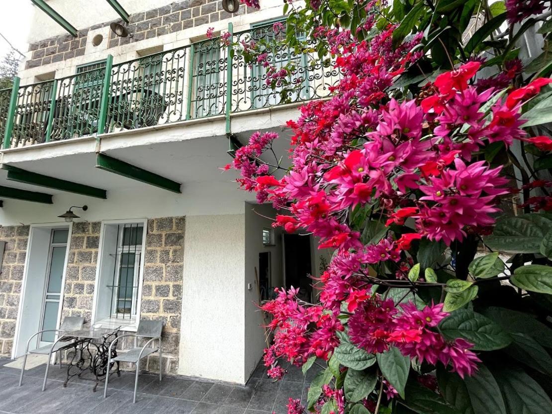Berenice Winery Hotel Tiberias Exterior photo