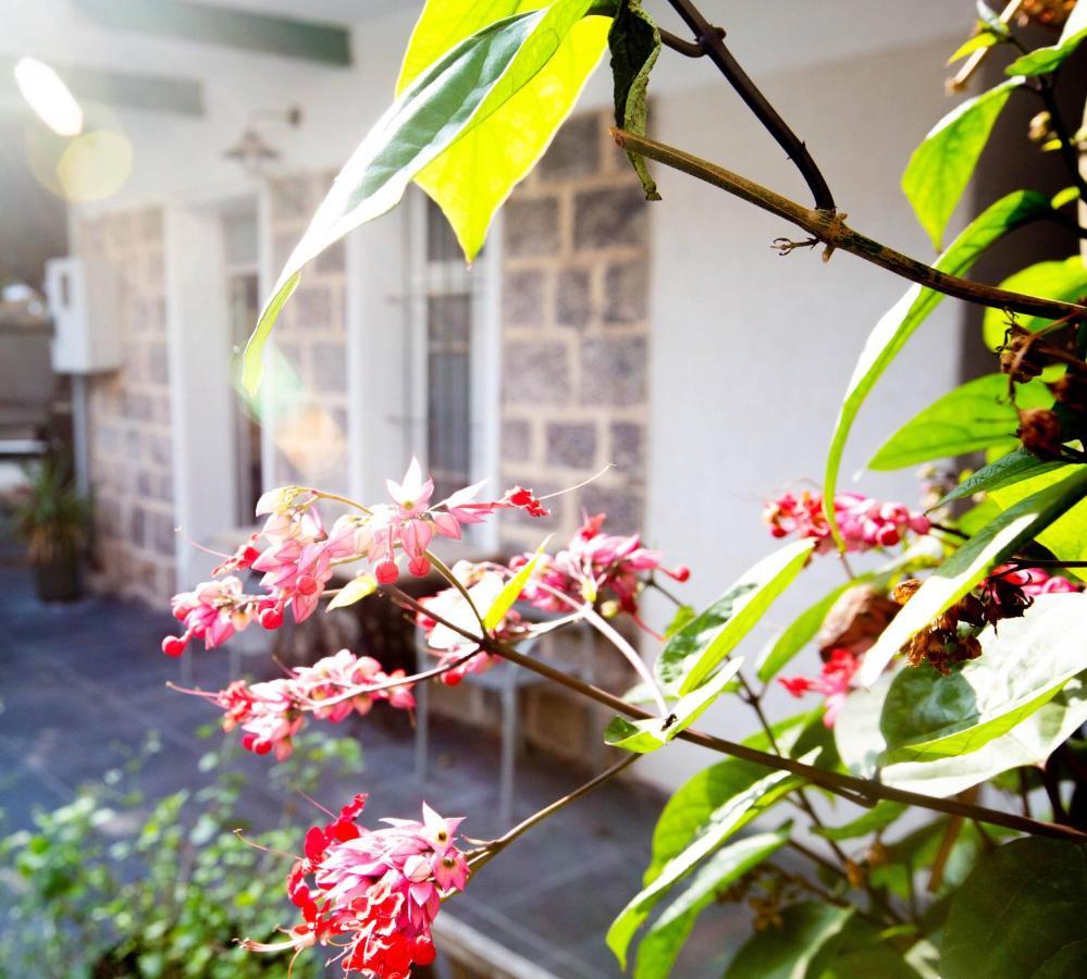 Berenice Winery Hotel Tiberias Exterior photo