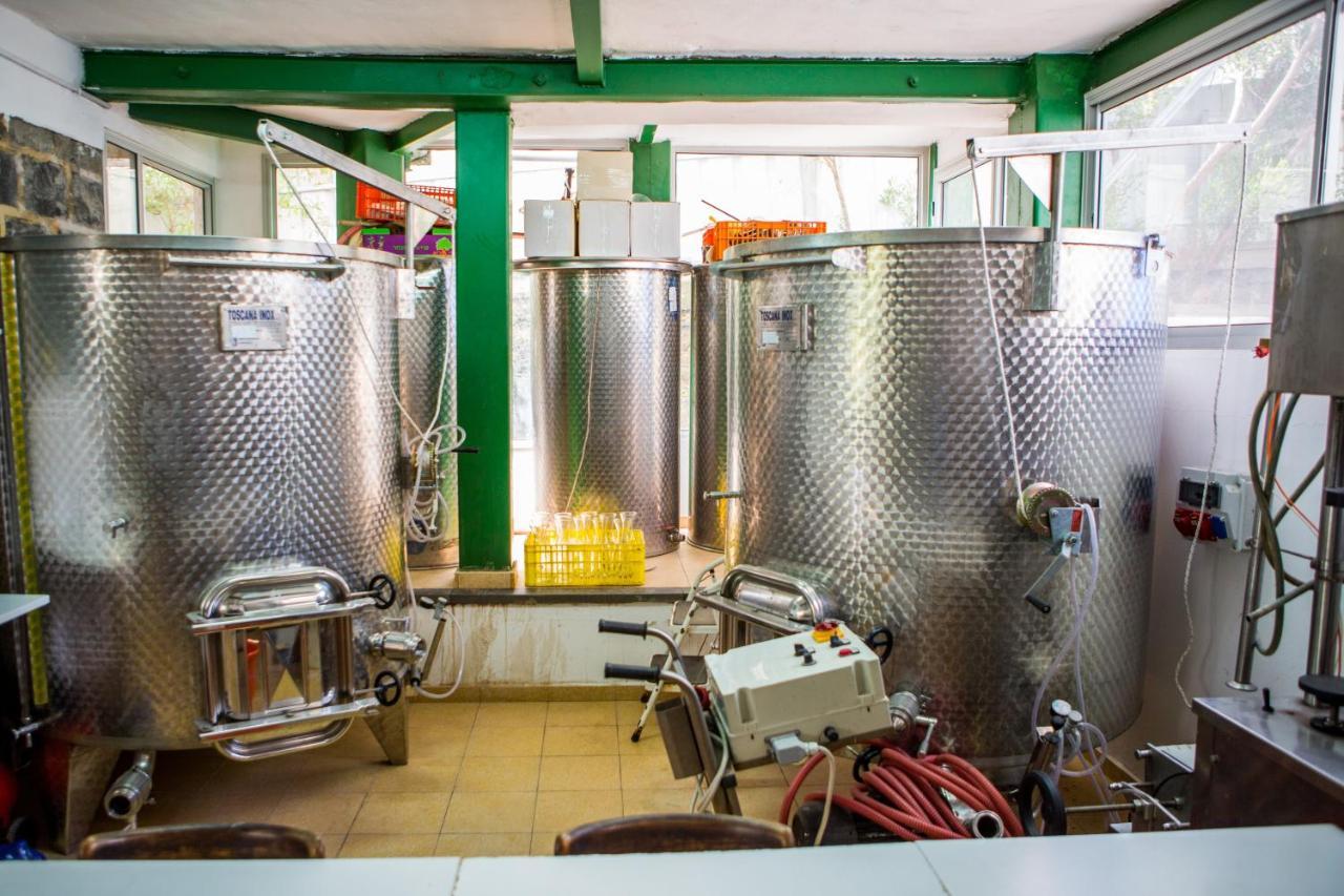 Berenice Winery Hotel Tiberias Exterior photo